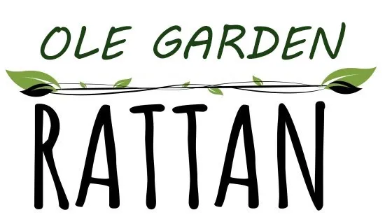 Dining Bar Tables Bird Cage High Back Pastoral Coffee Shop Hotel Lounge Reception Modern/Home/Hotel/Garden /Patio/Chair Rattan Outdoor Sofa Princess Chair